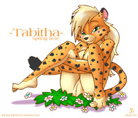 tabi